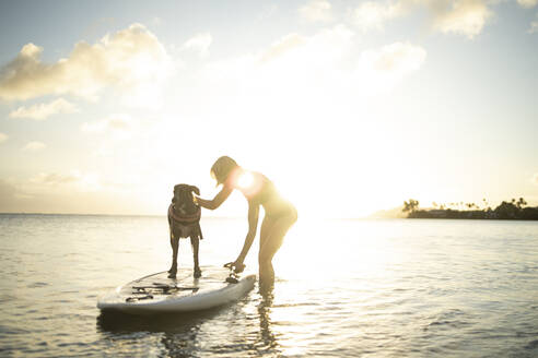 Dog standing on paddleboard with woman petting him in Hawaii - CAVF94634