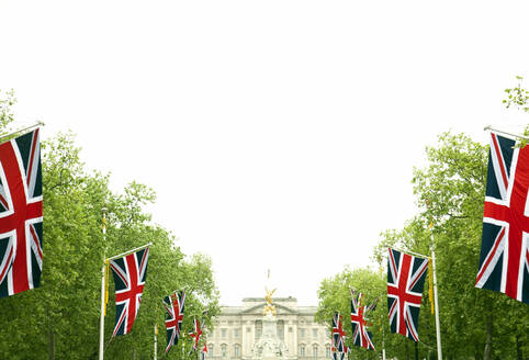 UK, England, London, Rows of flagpoles with British flags in front of Buckingham Palace - AJOF01643