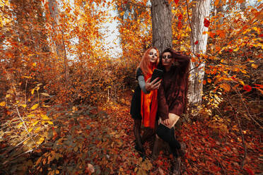 Friends taking selfie through mobile phone in forest during Halloween - MRRF01467