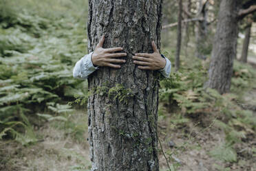 Man hugging tree in forest - JCCMF03799