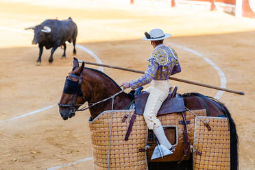 Unbekannter Picador mit Lanze, der auf einem Pferd reitet und in einer Stierkampfarena mit einem wütenden Stier während der Corrida auftritt - ADSF29810