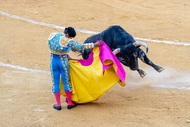 Rückenansicht eines anonymen furchtlosen Toreros, der mit einem wilden Stier in der Stierkampfarena während des Corrida-Festes auftritt - ADSF29819