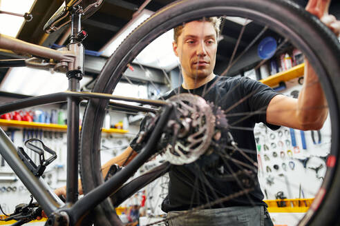 Männlicher Techniker, der ein Rad an einem Fahrrad befestigt, während er in einer modernen Fachwerkstatt arbeitet - ADSF29932