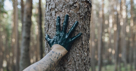 Mann mit Handschuh berührt Baumstamm im Wald - JCCMF03841