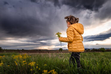 Girl picks spring flowers with oncoming storm in evening sky - CAVF94649