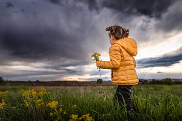 Mädchen pflückt Frühlingsblumen mit aufkommendem Sturm am Abendhimmel - CAVF94649