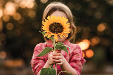 Mädchen hält Sonnenblume vor dem Gesicht im Sommer in der Abendsonne Licht - CAVF94652