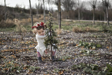 Ein Mädchen in weihnachtlicher Kleidung wählt einen Weihnachtsbaum aus - CAVF94693
