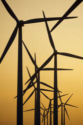 Windmühlen zur Stromerzeugung bei Sonnenaufgang in Spanien. - CAVF94789