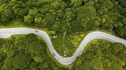 Luftpanorama einer Landstraße, die sich durch eine grüne Waldlandschaft schlängelt - OCAF00725