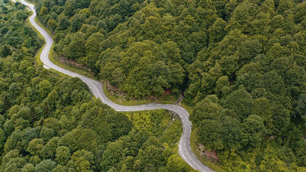 Luftpanorama einer Landstraße, die sich durch eine grüne Waldlandschaft schlängelt - OCAF00726