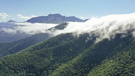 Blick auf tief hängende Wolken über den grünen, bewaldeten Pyrenäen - OCAF00735