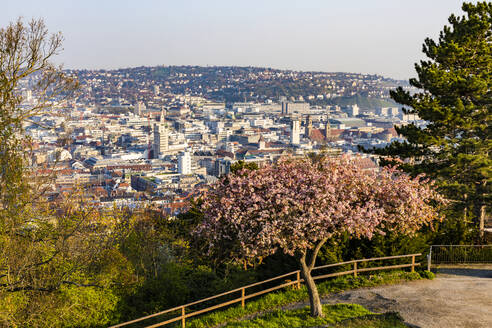 Deutschland, Baden-Württemberg, Stuttgart, Stuttgart-Mitte vom Weißenburgpark aus gesehen - WDF06611