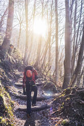 Mann mit Rucksack beim Wandern im Wald, Orobie Alpen, Lecco, Italien - MCVF00888