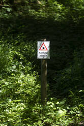 Schildermast im Wald zur Warnung vor Zecken an einem sonnigen Tag - CHPF00778