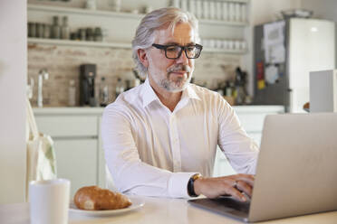 Mature businessman using laptop at cafeteria - RBF08306