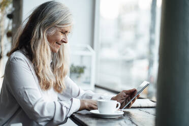 Female freelancer using digital tablet while sitting in cafe - JOSEF05832