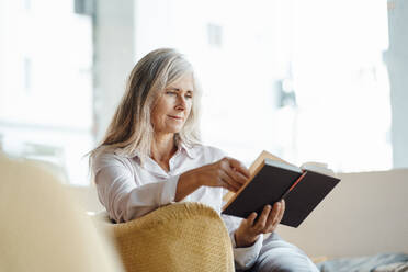Reife Frau, die in einem Café sitzt und ein Buch liest - JOSEF05849