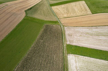 Drohnenansicht von Feldern auf dem Land im Sommer - WWF05849