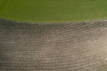 Drone view of edge of brown countryside field - WWF05850