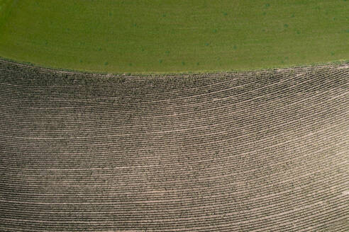 Drone view of edge of brown countryside field - WWF05850