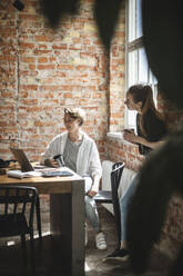 Female colleagues having coffee while using laptop startup company - MASF25233