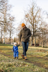 Vater und Sohn halten sich an den Händen, während sie gemeinsam im Park spazieren gehen - MASF25528