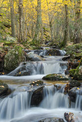 Landschaftlicher Blick auf einen Wasserfall, der in einem Bergwald im Herbst in Langzeitbelichtung am Lozoya-Fluss im Guadarrama-Nationalpark über Felsen fließt - ADSF30243