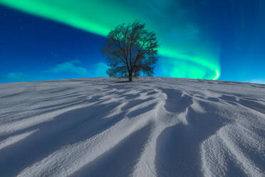 Spektakulärer Blick auf einen einsamen, blattlosen Baum in einem verschneiten Tal im Winter unter dem Nachthimmel mit grün leuchtenden Polarlichtern - ADSF30250