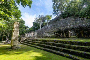 Mexico, Campeche, Ancient Maya temple in Calakmul - RUNF04652