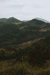 Blick auf eine bewaldete Landschaft in den Pyrenäen - OCAF00763