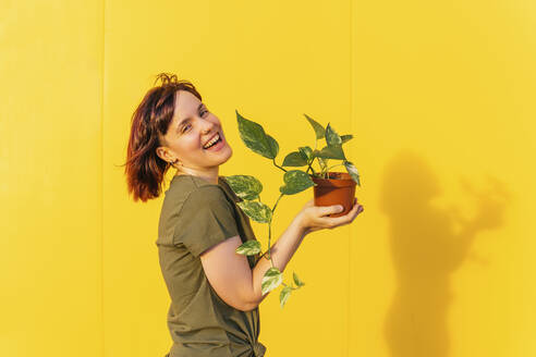Fröhliche Frau, die eine Pflanze hält und an einer gelben Wand steht - MGRF00490