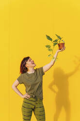 Frau mit erhobener Hand, die eine Topfpflanze vor einer gelben Wand hält - MGRF00491