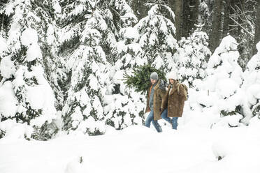 Boyfriend and girlfriend walking in forest during winter - HHF05665