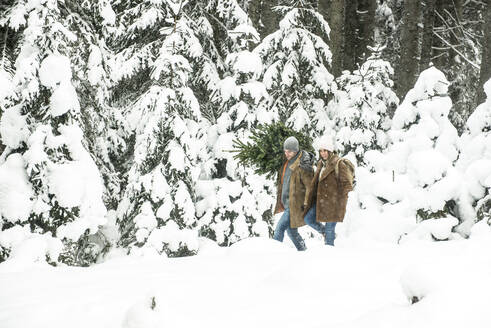 Boyfriend and girlfriend walking in forest during winter - HHF05665
