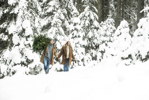 Freund trägt Weihnachtsbaum beim Spaziergang mit Freundin im Wald im Winter - HHF05666
