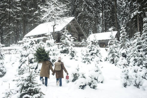 Man carrying tree while walking with woman on snow - HHF05667