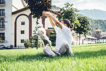 Verspielter Mann spielt mit Hund an einem sonnigen Tag - OMIF00040