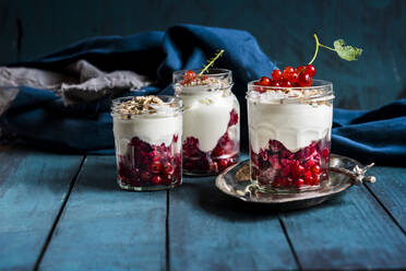 Yogurt parfait with red currant berries and nuts  - SBDF04521