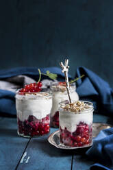 Yogurt parfait with red currant berries and nuts  - SBDF04522