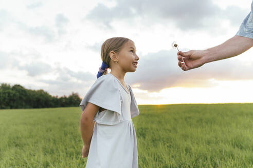 Vater schenkt seiner Tochter Löwenzahnblüten auf einem Feld - KMKF01741