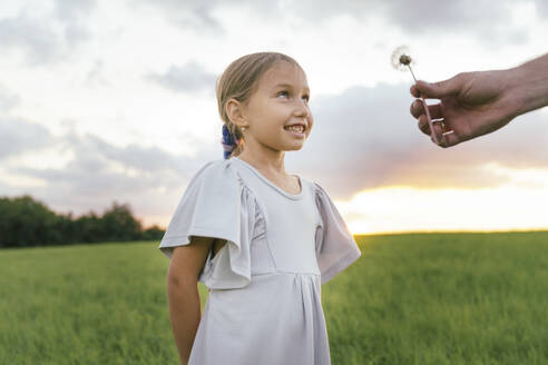 Smiling girl looking at father giving Dandelion flower at field - KMKF01743