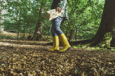 Mature man with basket walking in forest - KMKF01745