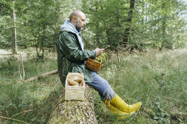 Reifer Mann, der ein Mobiltelefon benutzt, während er auf einem Baumstamm sitzt - KMKF01755