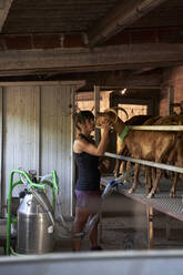 Female farmer stroking goat while milking through machine in farm - VEGF04994