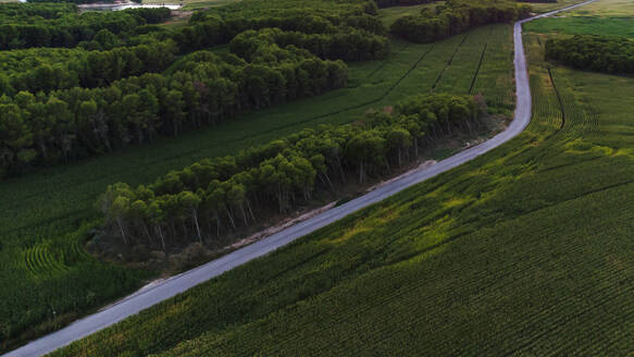 Luftaufnahme einer Landstraße, die sich entlang eines grünen Kornfelds erstreckt - ACPF01319