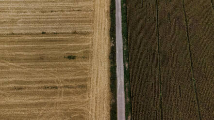 Luftaufnahme einer zwischen Feldern verlaufenden Landstraße - ACPF01324