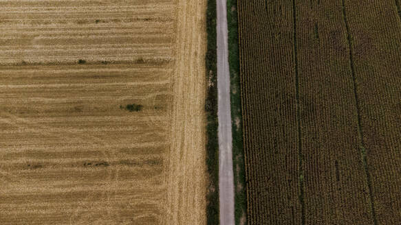 Luftaufnahme einer zwischen Feldern verlaufenden Landstraße - ACPF01324