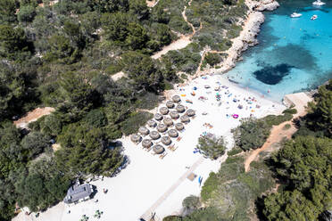 Spanien, Balearische Inseln, Mallorca, Luftaufnahme des Strandes Cala Sa Nau im Sommer - AMF09265