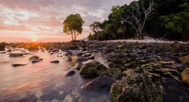 Scenic scenery with wet boulders washed by transparent seawater on shore covered with tropical plants at sunset in Malaysia - ADSF30319